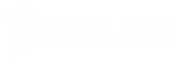 PixelNas Digital Pvt Ltd logo – digital marketing for healthcare and education